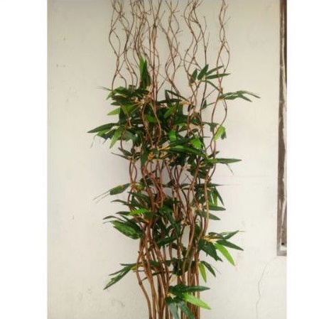 10batang Bambu ulir/Bunga sudut bambu ulir dengan daun bambu