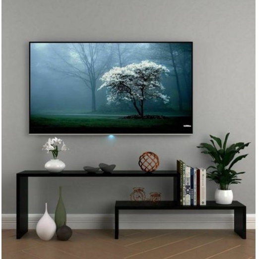 Rak Tv Dvd Foto Pigora Hiasan Piala Piagam Dinding Tembok Wall Shelf Kayu Besi Bunga Modern Buku COD