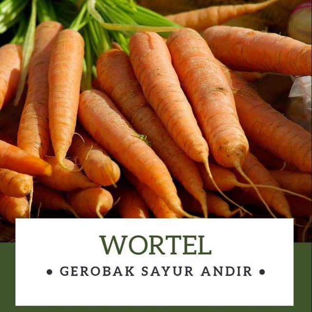 

Wortel /500gr