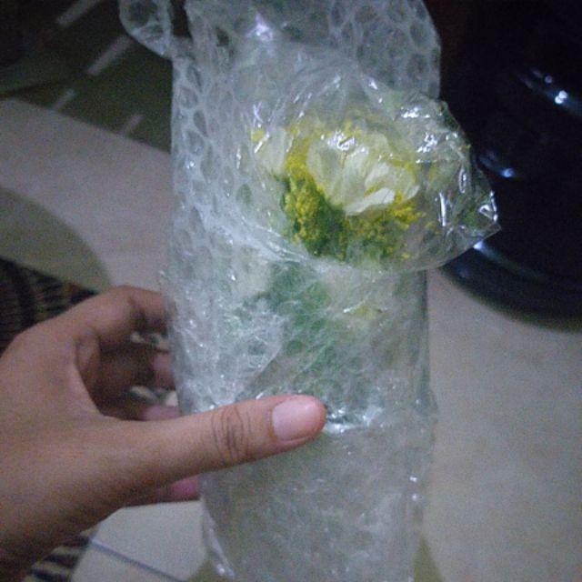 Bunga Hias Bunga Daisy Cantik Shabby Bunga Shabby
