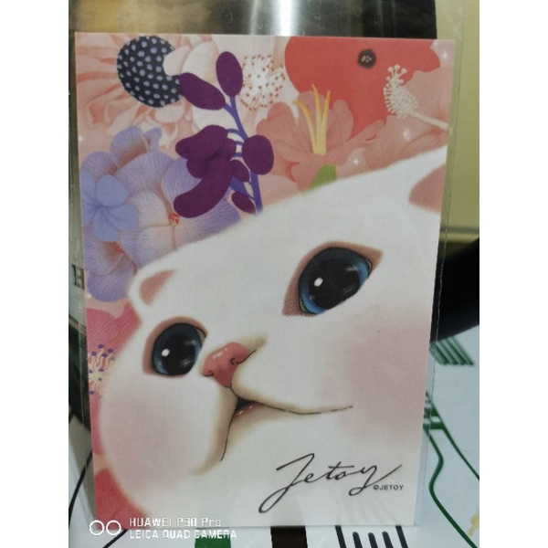

kartu pos kucing jetoy/jetoy cat postcard