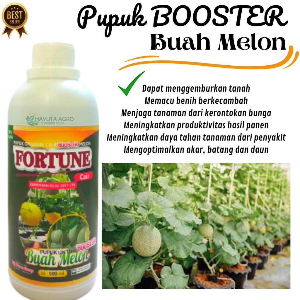 Pupuk Melon Agar Cepat Berbuah, Pupuk Organik Cair Melon Agar Buahnya Besar, Pupuk Melon Cair Kemasa