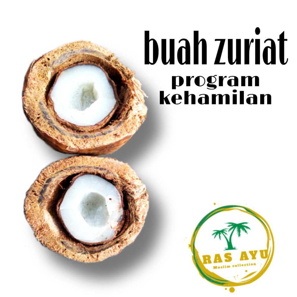 BUAH ZURIAT 1 KG BUAH DOUM / ZURIAT ASLI / OBAT PROSES KEHAMILAN