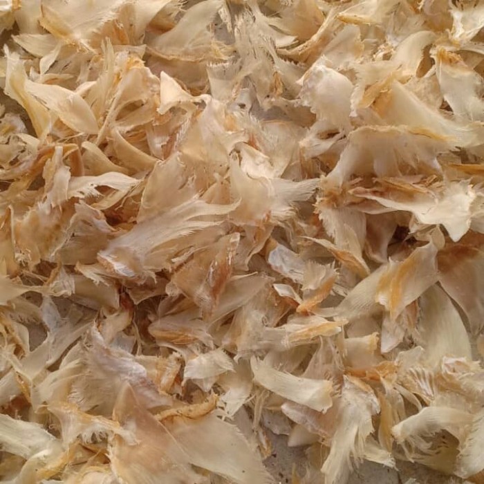 

10cscss Sirip Ikan Hiu Kering Murah 100 Gram Dscscv