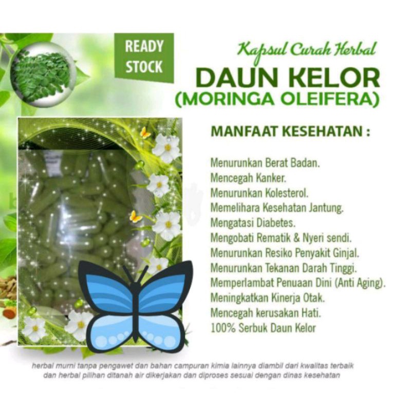 

KAPSUL DAUN KELOR