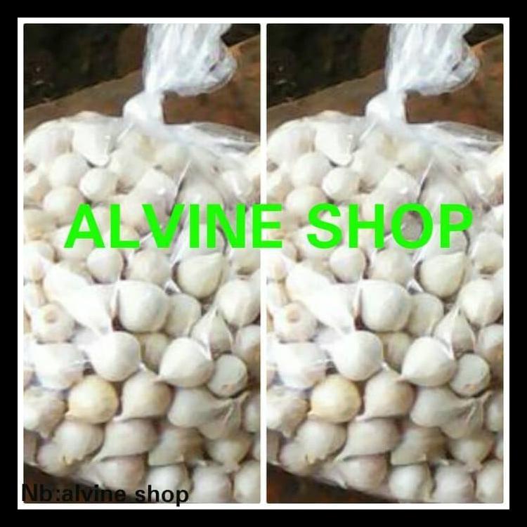 

BAWANG PUTIH TUNGGAL/BAWANG LANANG TERLARIS