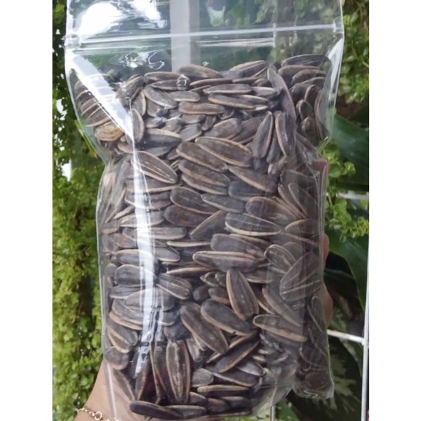 

kwaci 250 gram termurah