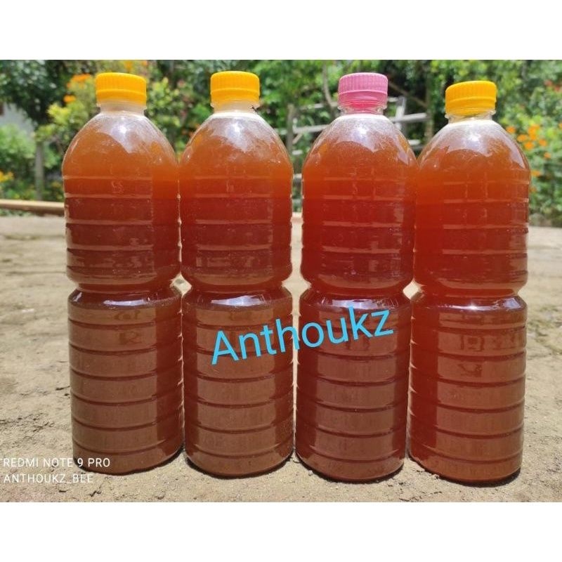 

Madu Lebah klanceng/Trigona/Klulut