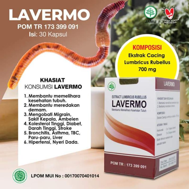 

Obat demam lavermo extract lumbricus rubellus