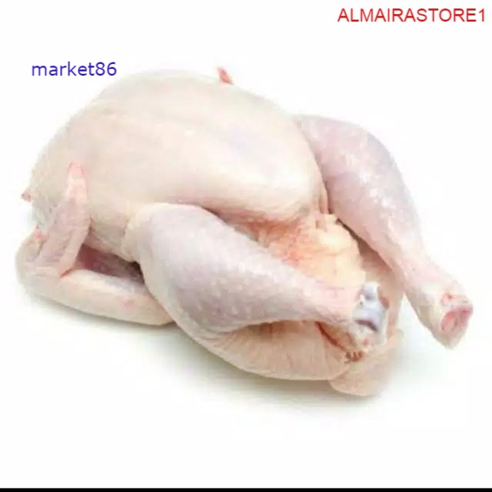 

Grosir AYAM BOILER SEGAR UTUH / POTONGAN 1 EKOR 750 - 800 Gram - Market86