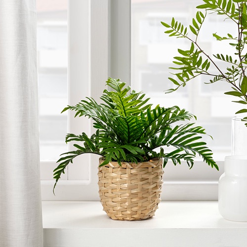 FEJKA Tanaman tiruan dalam pot, polypodium, 9 cm