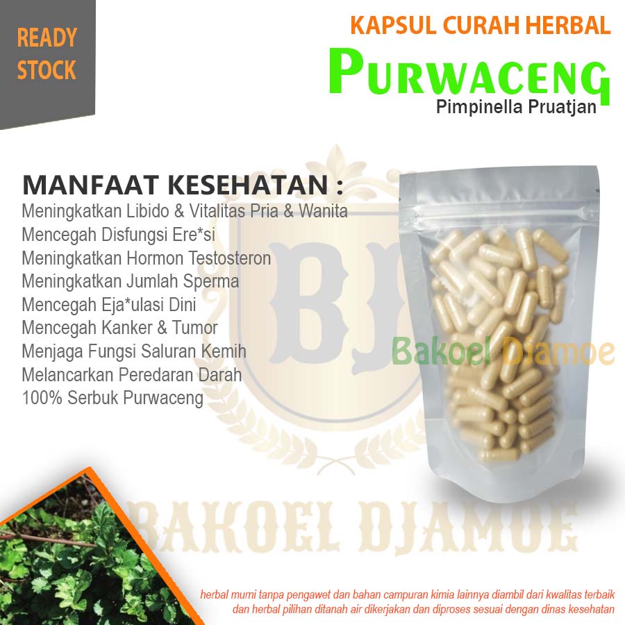 

Kapsul curah herbal purwaceng kapsul herbal jamu kuat pria