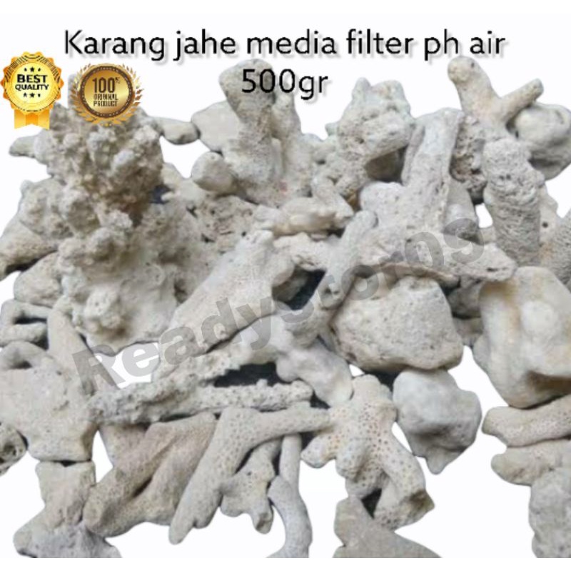 karang jahe media filter PH air / hiasan dekorasi aquarium aquascape