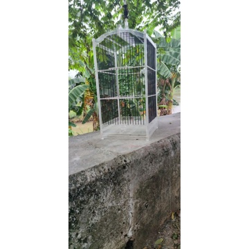 sangkar akrilik no.4