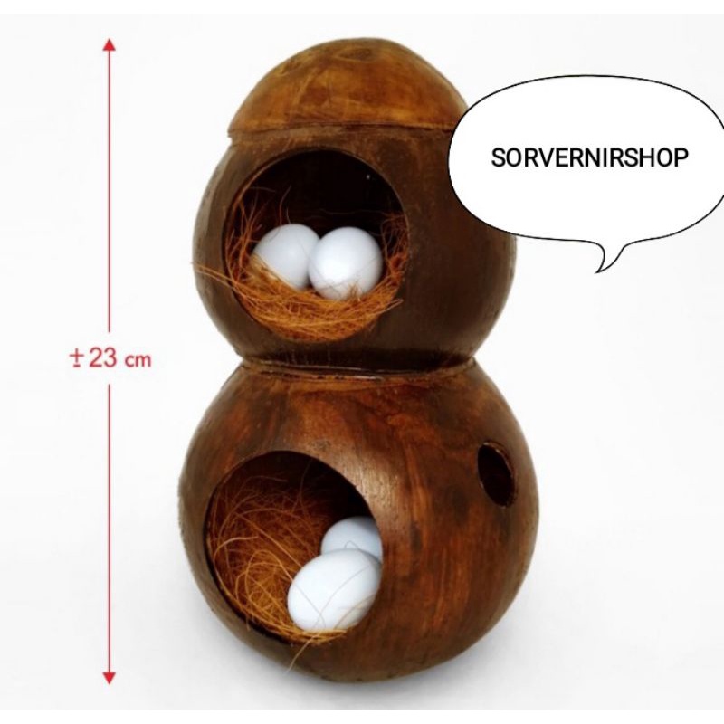 Glodok batok kelapa lovebird parkit batok gelodok batok kelapa tumpuk