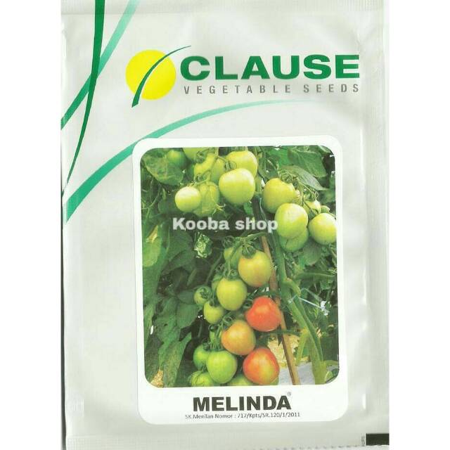 Tomat Melinda Benih Clause Vegetable - 5 gr