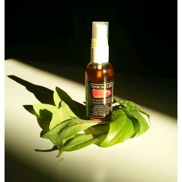 Rotan Keras Panjang Permanen Minyak Daun Tiga Jari wamena original daun bungkus rotan Top 1