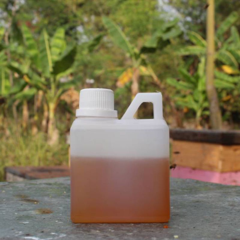 Madu Murni Nektar 1kg Honeykyu Immune Boosting