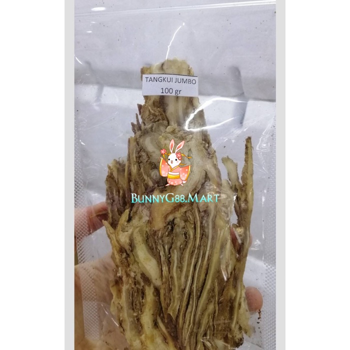 

TANG KUI TOU/TONG KUEI TAU/DANG GUI THAU PIAN/DONG QUAI THOU-TANG KUI (BERKUALITAS)