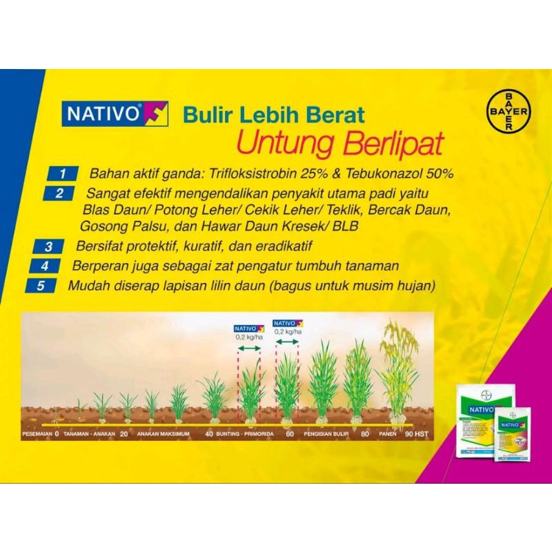 FUNGISIDA NATIVO 75 WG 50 GR