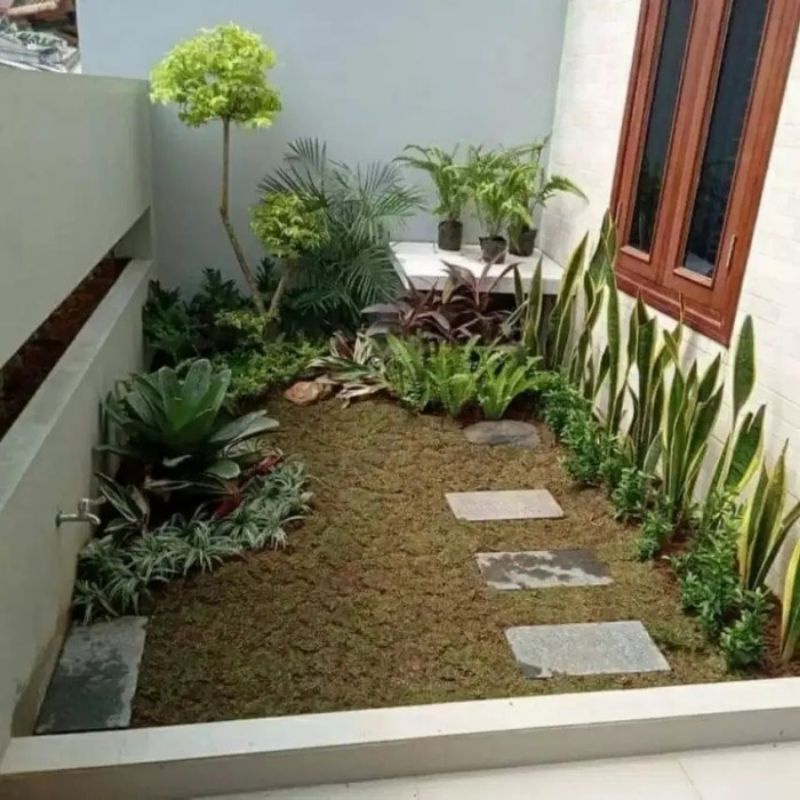 Jual jasa pembuatan taman- taman minimalis - taman | Shopee Indonesia