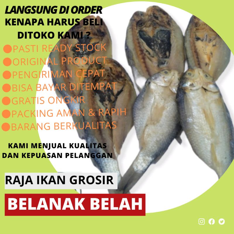 

IKAN ASIN MURAH 500 GRAM BELANAK TERBAIK TERJAMIN