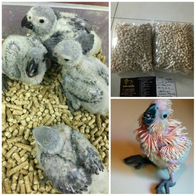 Wood Pellet Alas Baby Burung Parrot Kemasan 1 KG