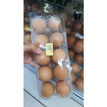 

Telor ayam perpack isi 10