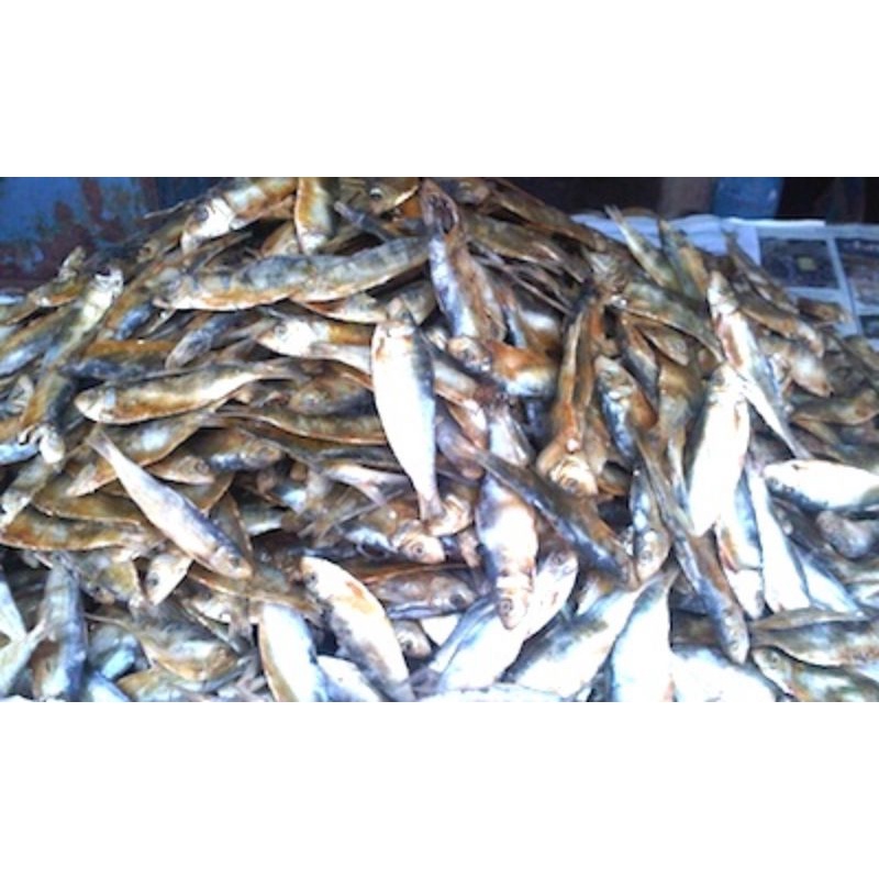 

Ikan Asin Kecil/Ikan Asin Dencis/Ikan Asin Sarden/Ikan Asin Layang Kecil/Ikan Asin Rebus Kering/Ikan Asin Peda/1 Kg