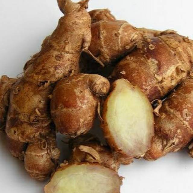 

Kencur Tua Premium/ 100gr - 500gr