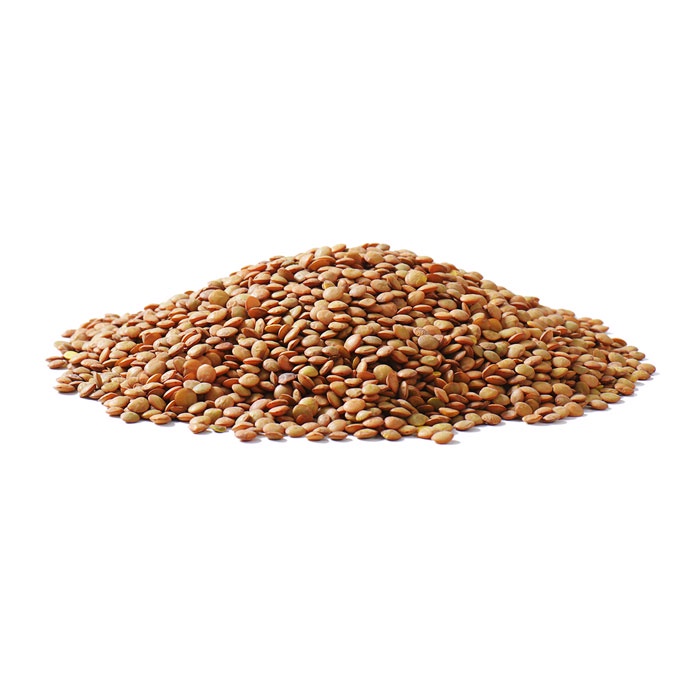 

Brown Lentils