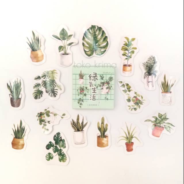 

Stiker Sticker Pack Box Mini Aesthetic Isi 45 pcs Bentuk Tanaman Daun Untuk Dekorasi Jurnal Diary
