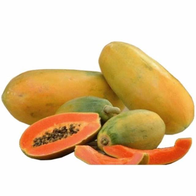 Benih bibit pepaya california unggul /friend's papaya