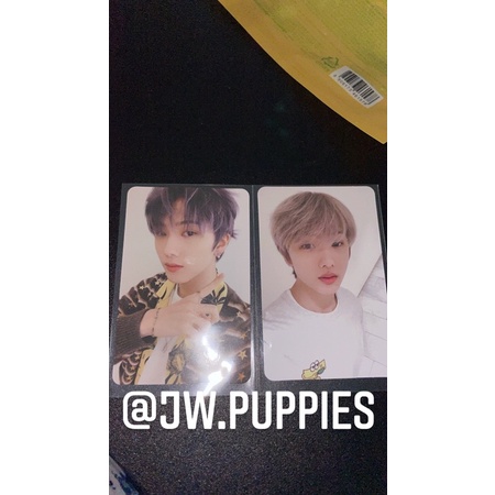 pc/photocard jisung set hot sauce crazy ver