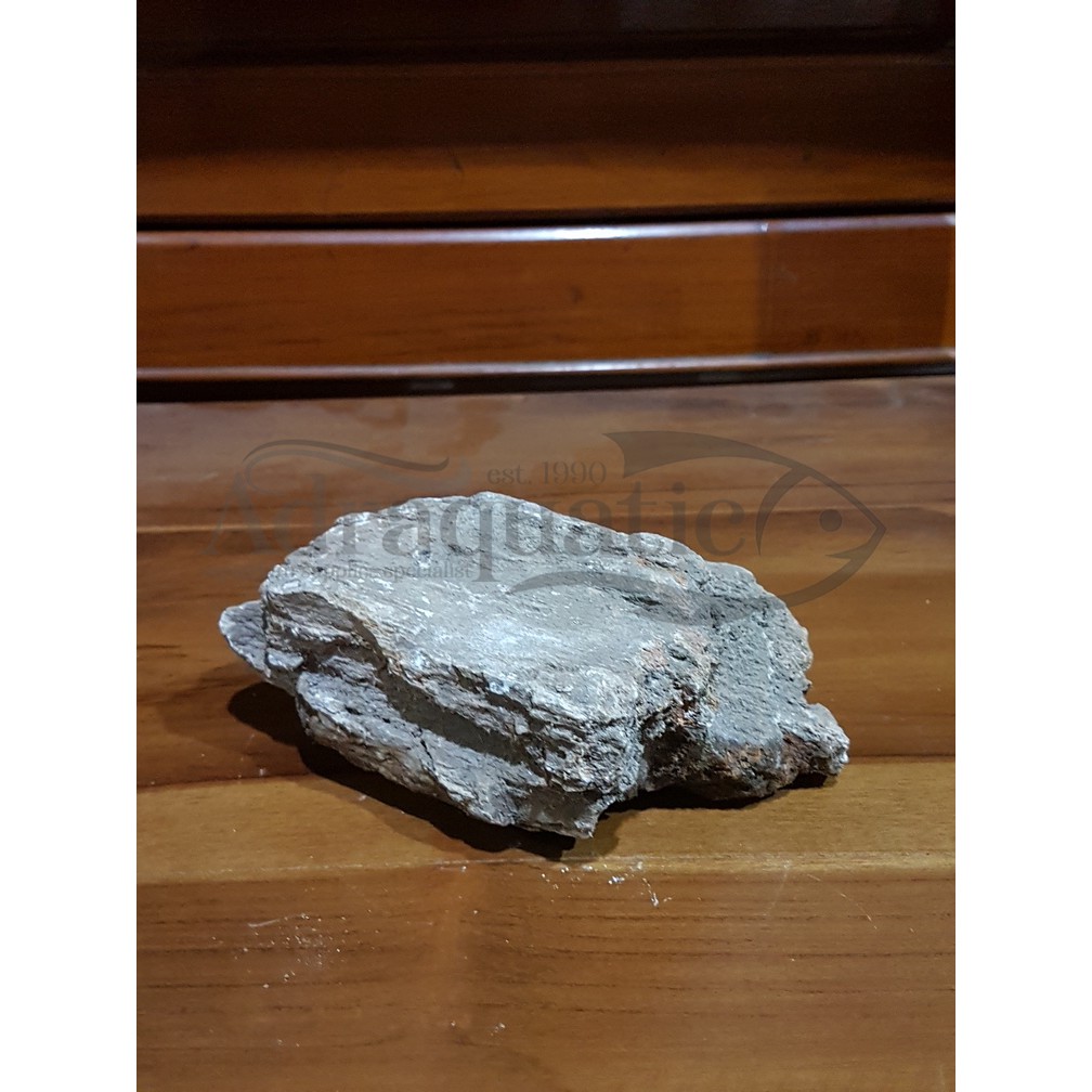 BATU FOSIL  KAYU 1KG 1 KG HIASAN  AQUARIUM  AQUASCAPE 