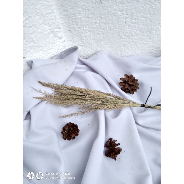 jawan grass mini warna natural bunga kering