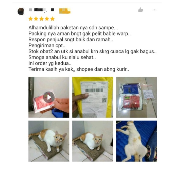 Hemoovet penambah darah anemia kucing anjing