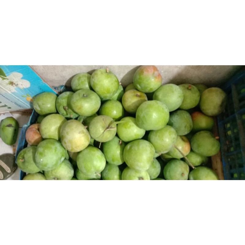 

Mangga Apel 10kg Mentah segar fresh manisan Rujak ngidam