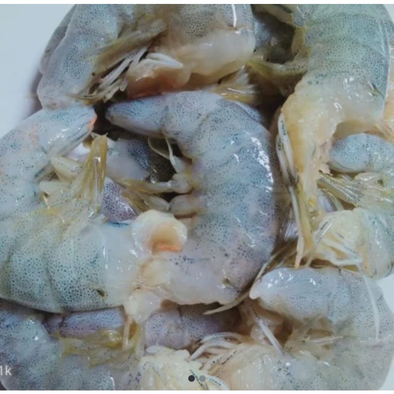 

Udang Kupas Kepala Dan Ekor Berat 250 Grm