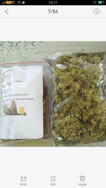 

PAKET RUMPUT KEBAR DAN AKWAY