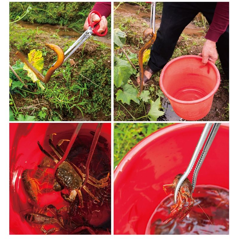 Gunting Capit Crab Tongs Pengambil Pencapit Belut Kepiting Udang Seafood