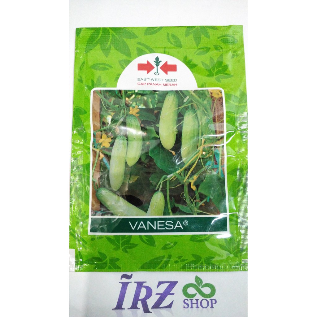 Benih Timun Vanesa panah merah Berkualitas