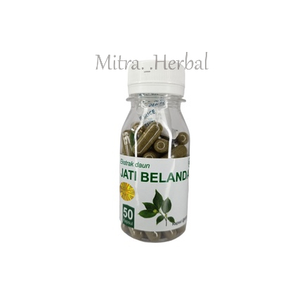 DAUN JATI BELANDA Kapsul Herbal Pelangsing Alami Kemasan Hemat - isi 50 pcs