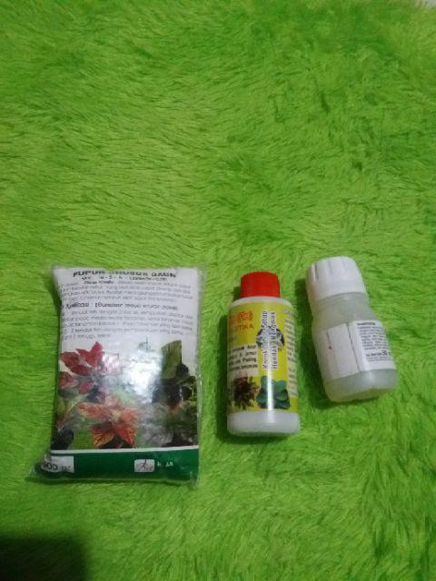 Pupuk Aneka Khusus Tanaman Daun 500 Gram - Mempercepat Pertumbuhan Daun