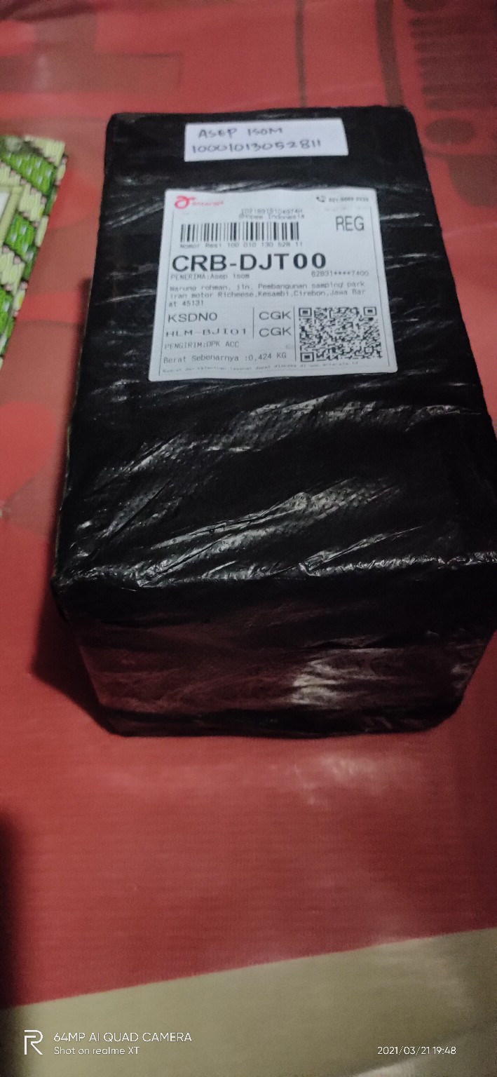 Paku Payung Pinus
