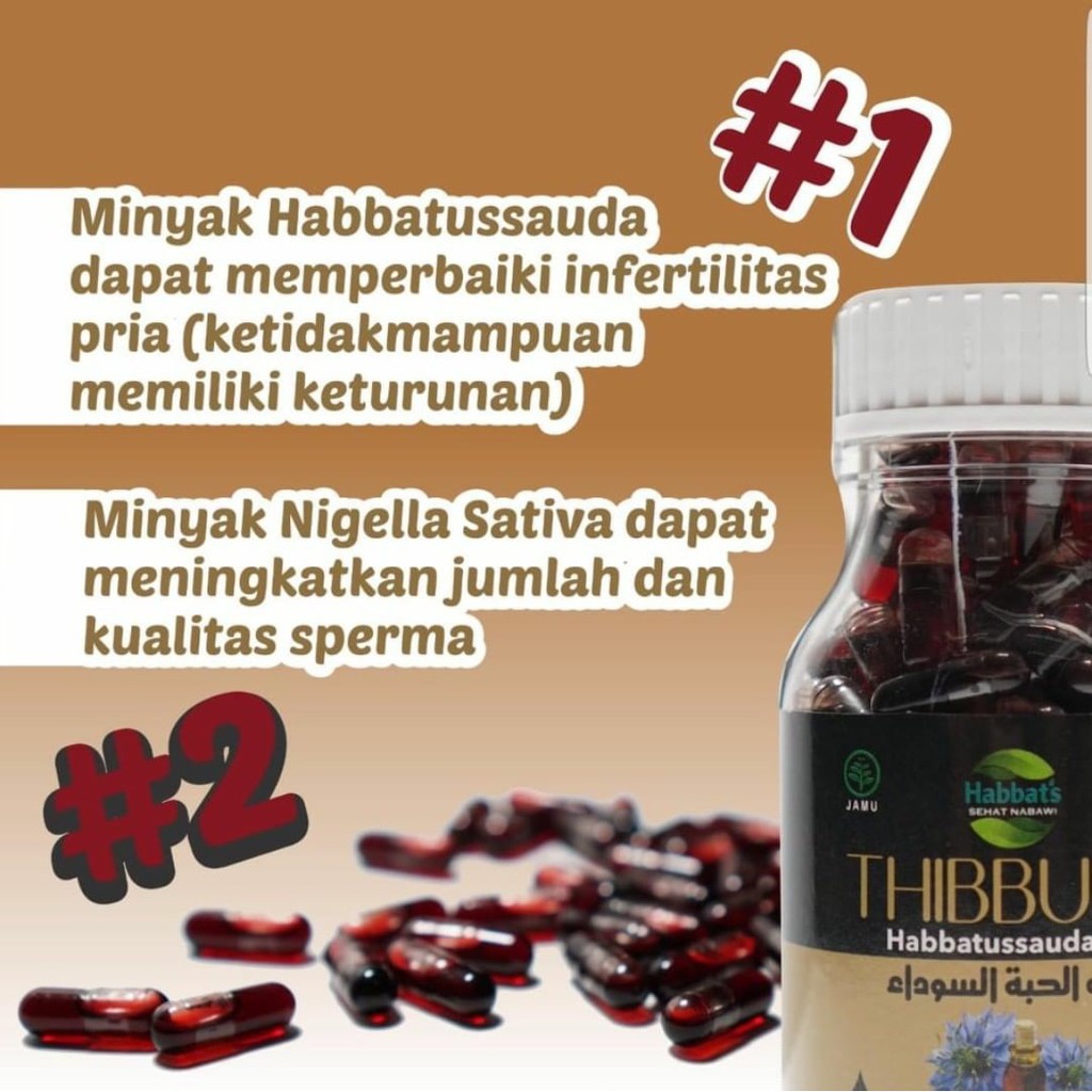 THIBBUNA Habbatussauda Promil Original Asli