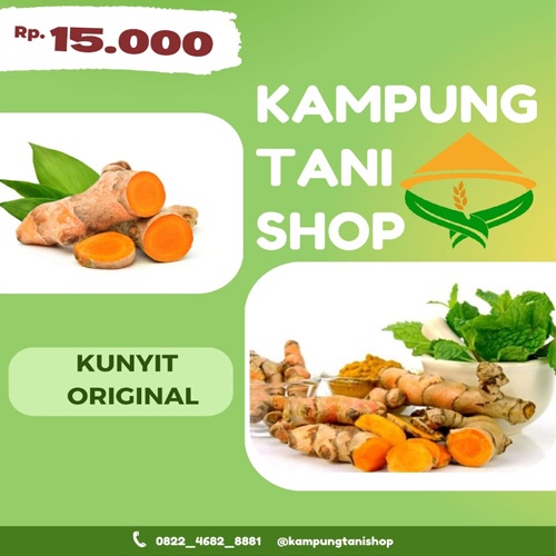 

Kunyit Segar Original Bahan jamu