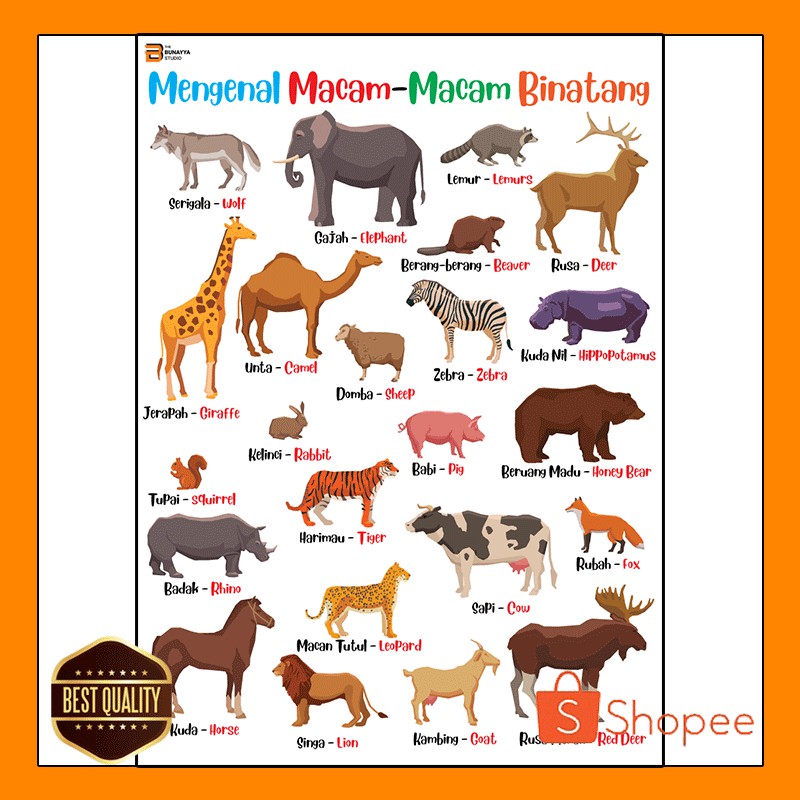 Poster Belajar Anak Seri Hewan 02 Shopee Indonesia