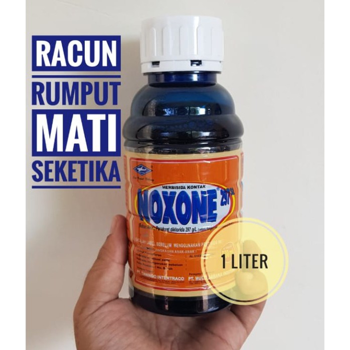 HERBISIDA NOXONE KEMASAN 1 LITER, RUMPUT KERING SEKETIKA