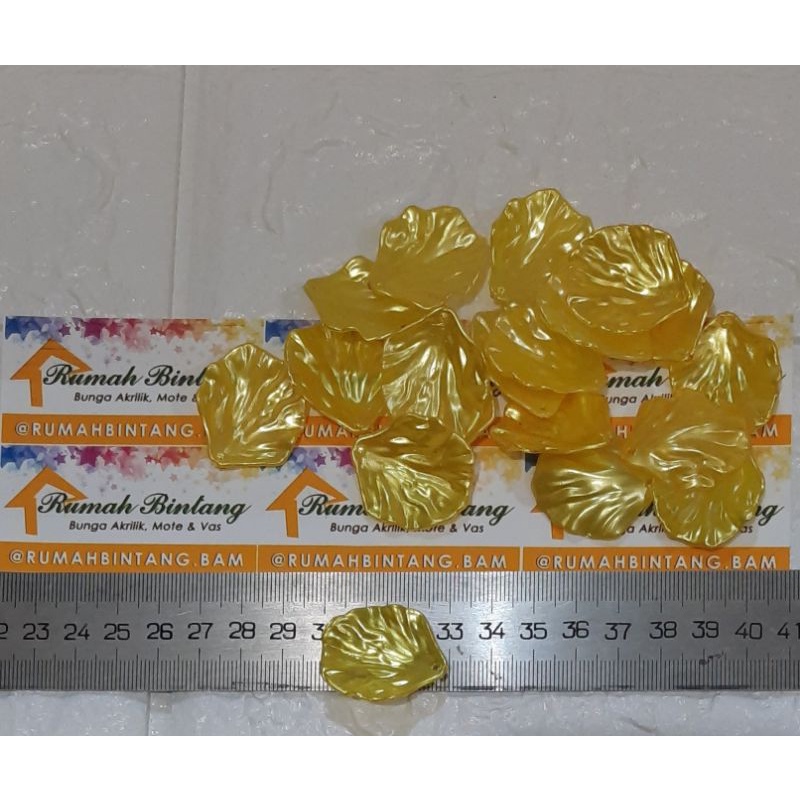 

kelopak kerang sedang